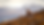 CLA Emailer Image (13).png