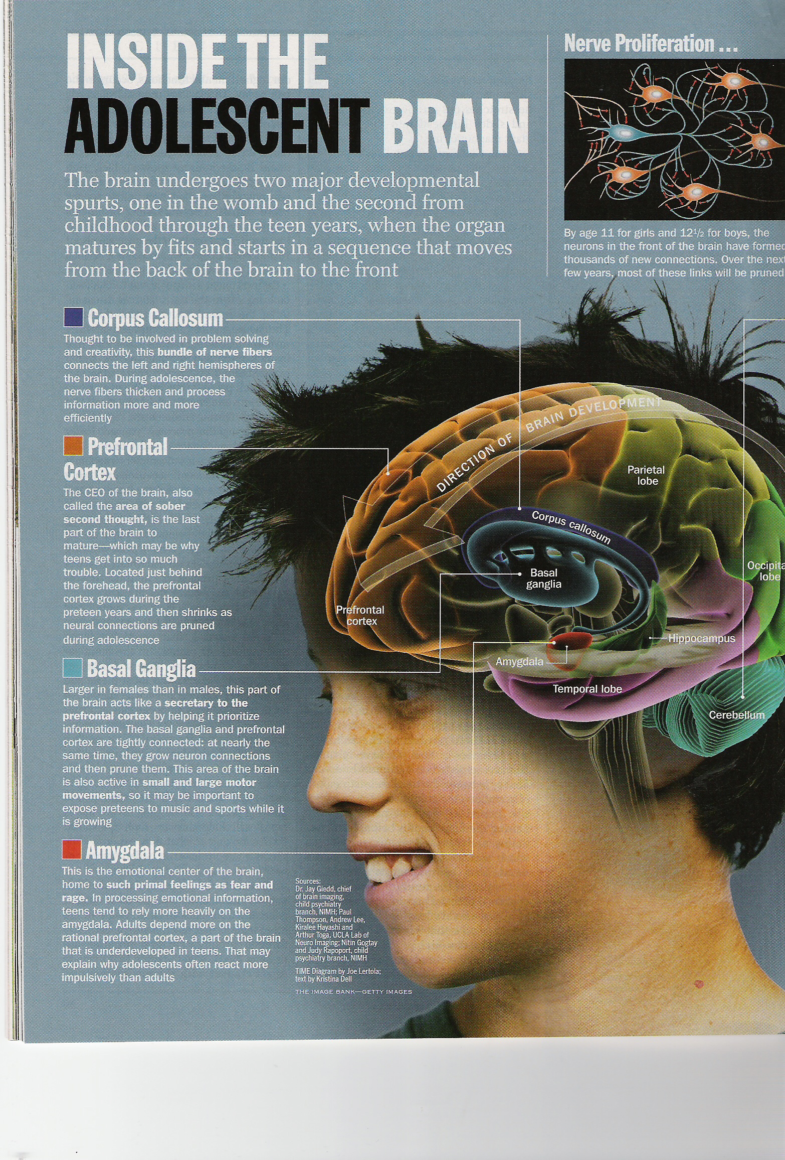 Writer: Bryan Lawson