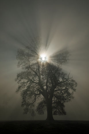 mist landscapes claire carter carterart