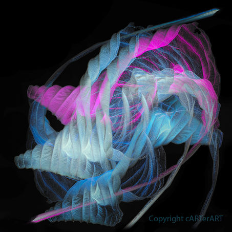 Digital inversions photography prints claire carter