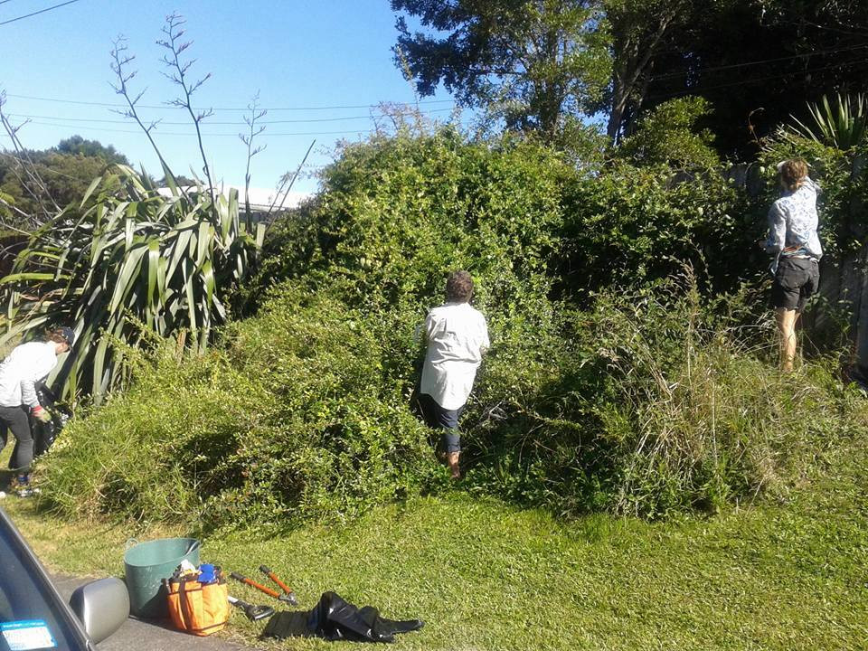 Working bee in Ranch Ave, Beach Haven on 19 March