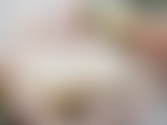 diario di una wedding planner