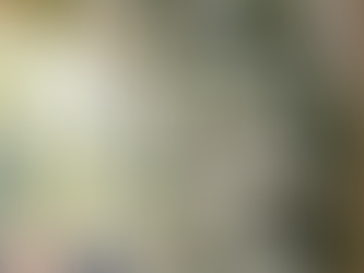 Fiori bellissimi… a prova di budget