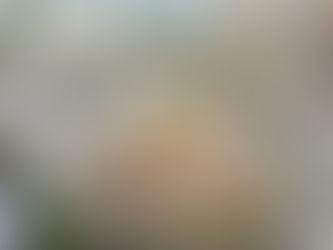 Perché i Fiori Fanno Battere il Cuore di un Matrimonio?