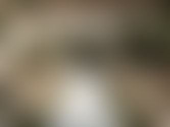 rito civile matrimonio in un giardino di una villa elegante