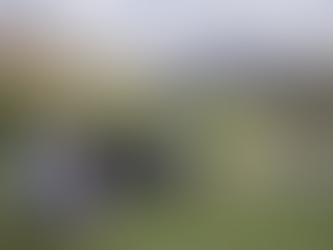 Sacred but Not Protected: The Gaps in Religious Protection for Land-Based Native American Religions