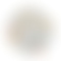 Epistemological Humility and Pragmatic Judgment: Our Inherent Philosophical Frameworks and Their Parallel in the Legal System