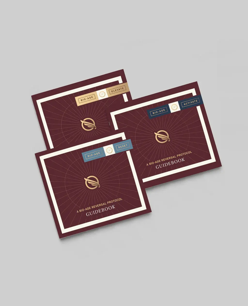 Biological Age Reversal 3-month Program by Quicksilver