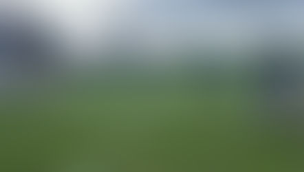 Gator Spring Practice 2023 - Video