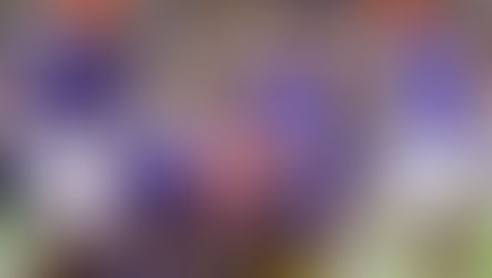 Sure it was McNeese, but the Gators Played Clean and Dominated