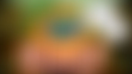 Truth, Lies & Mr. Orangehead