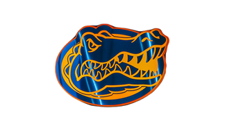 BUDDY  BLOG. Dear Gator Fans: It’s Time To Strap It On And Plant Your Seeds.
