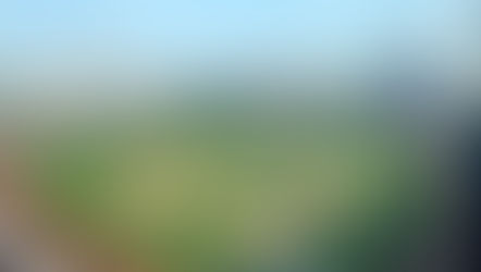 Gator Baseball: Thoughts of the Day