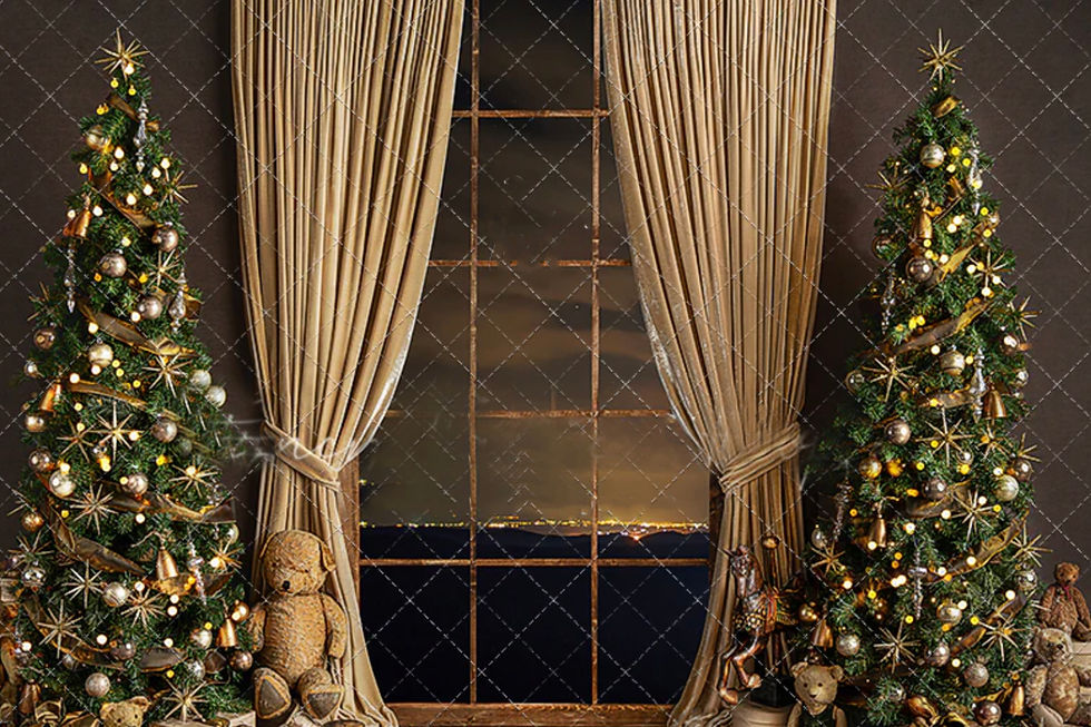 Holiday mini sessions 2023