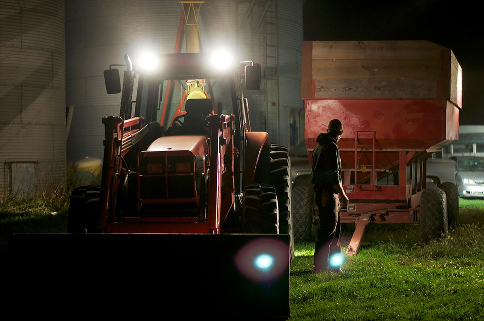 Putting soybeans in grain bin, 2013