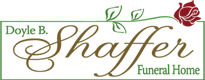 DSFH 205 x 80 LOGO copy.jpg