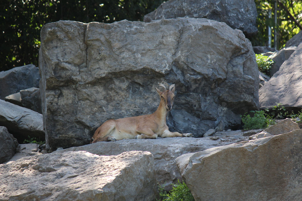 IMG_3749