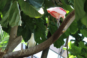 Zoo Photography (2)