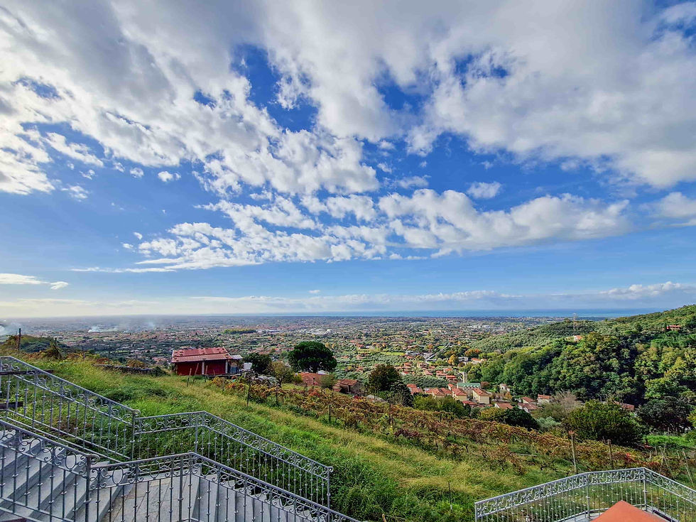 Villa_Floriana_Strettoia_Pietrasanta (39).jpg