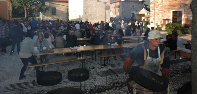 The Massarosa Festivals