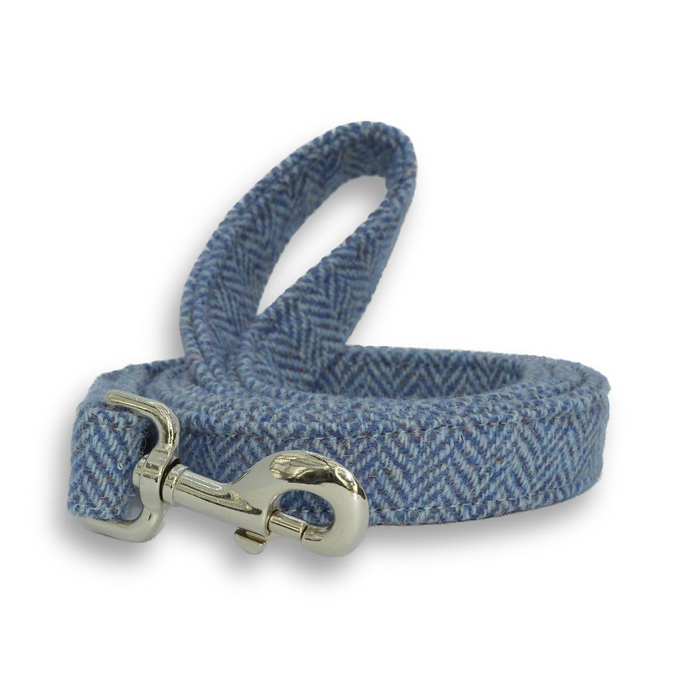 Blue Herringbone Harris Tweed Lead - Handmade in Scotland