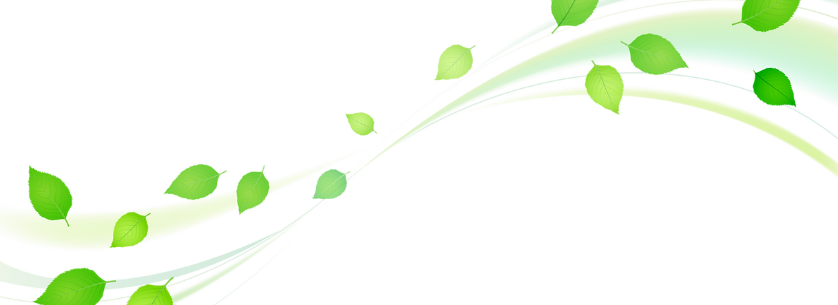 風と葉イメージイラスト