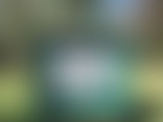 Belonging Together: some thoughts on church as body