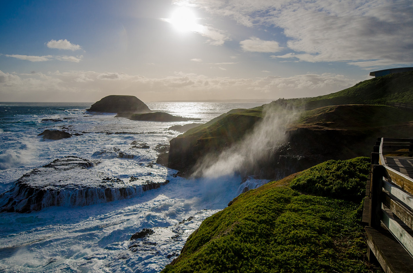 Phillip Island Day Tour Penguin Parade Melbourne Boutique Tours