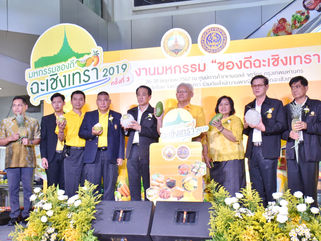 มหกรรมของดีฉะเชิงเทรา 2019 ครั้งที่ 3