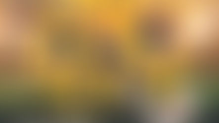 ทำวันนี้ทำไวไว รับสมัครเยาวชนร่วมโครงการ WAIWAI FOOTBALL ACADEMY 2022เรียนฟุตบอลฟรี!!!