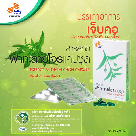 ไทยเฮิร์บ แนะนำ สารสกัดฟ้าทะลายโจรแคปซูล