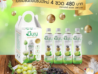 โปรโมชั่นต้อนรับเทศกาลปีใหม่ 2563