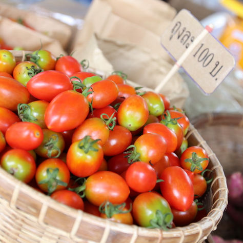 Kick Off : Go Green “ตลาดสุขใจ รวมพลังรักษ์โลก”