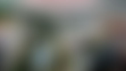 ซิมเพิ้ล ฟู้ดส์ สนับสนุนงานกาชาด