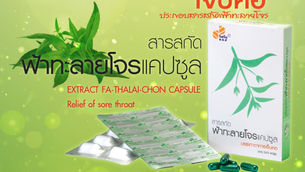 ไทยเฮิร์บ แนะนำ สารสกัดฟ้าทะลายโจรแคปซูล