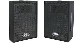 peavey_00570810_pvi_10_2_way_speaker_1017100.jpg