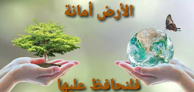دور المجتمع و وعيه في المحافظة على البيئة
