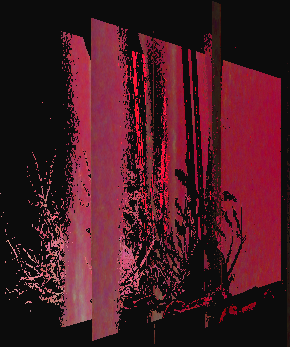Bamboo Red