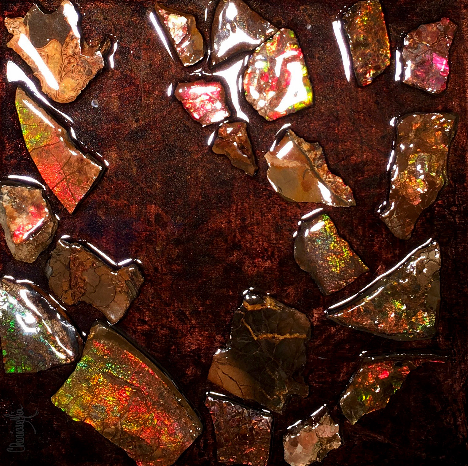 Ammolite Fascination