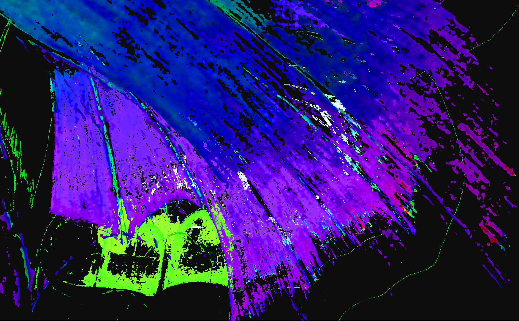 Butterfly Wing Purple
