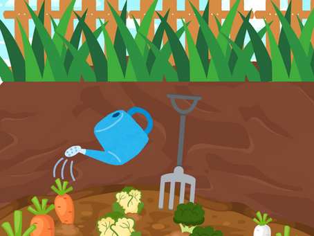 Building Your Garden Exercise