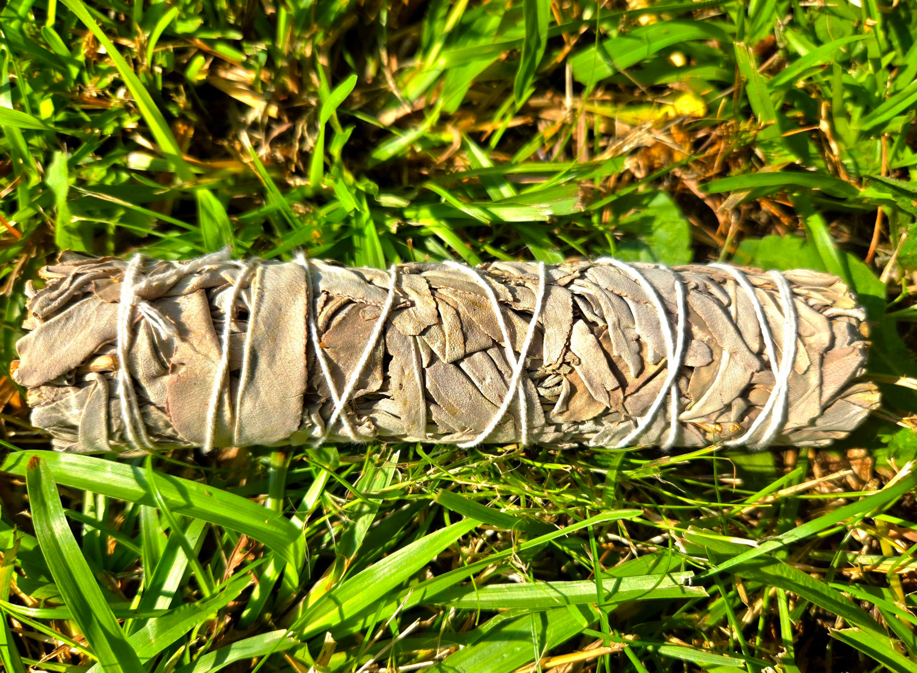 White Sage Smudge Wand