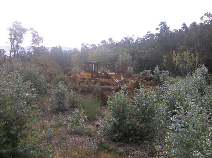 2012-09-17+11.03.52.jpg