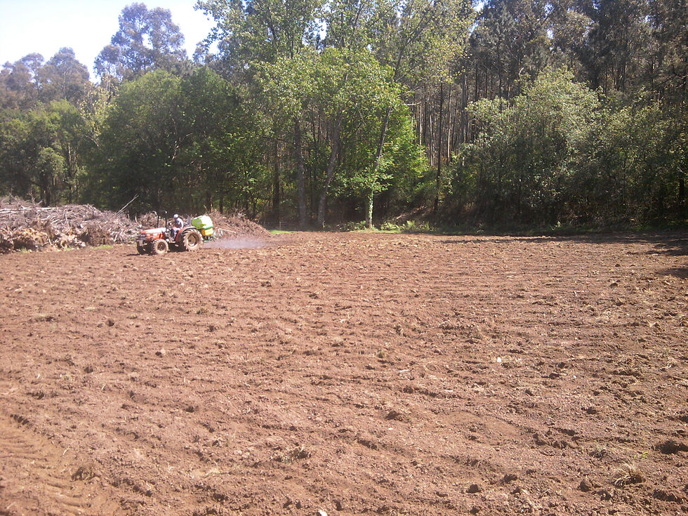 2013-05-13+15.38.47.jpg