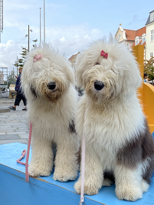 BC66BBD2-6E2C-4040-84E8-7A1D0065F8BA.hei