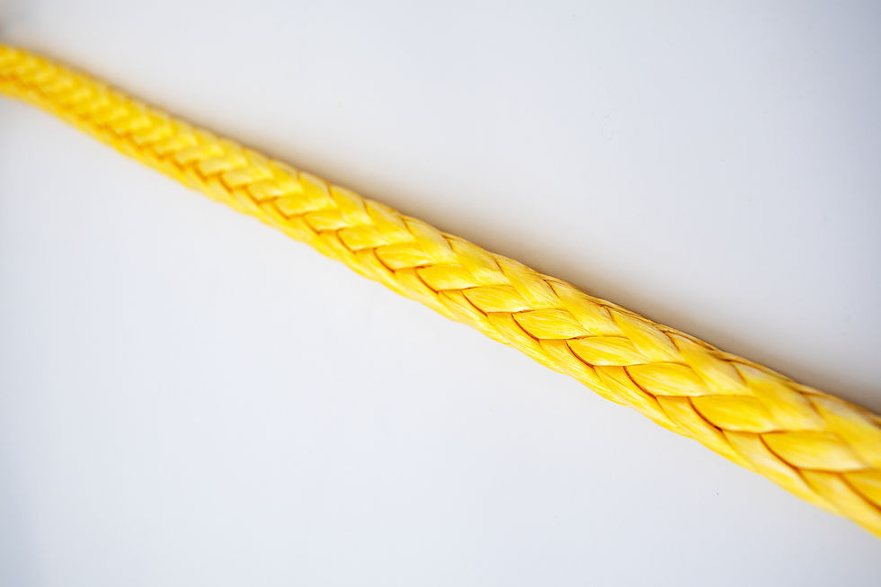 DSC_0114_groß.png