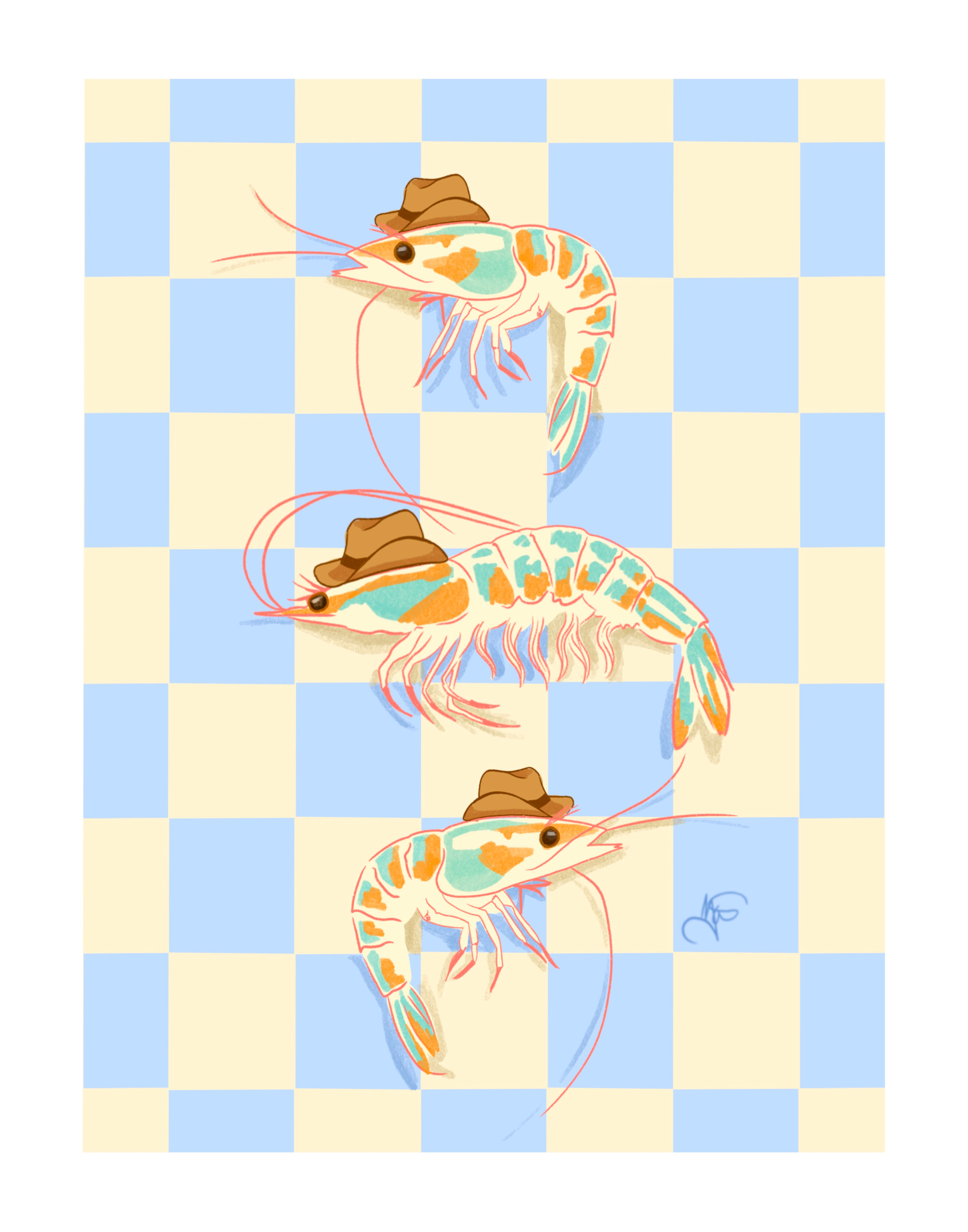 Cowboy Shrimps