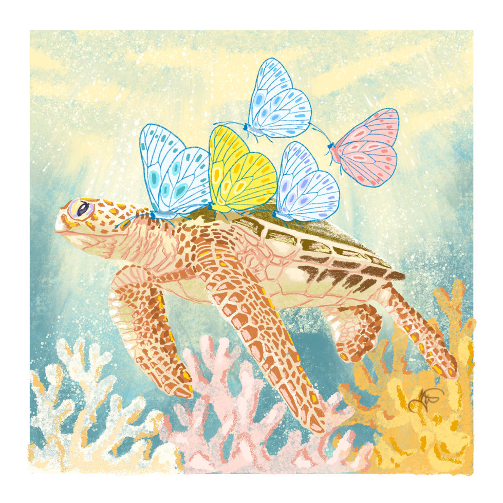 turtle 1.jpg