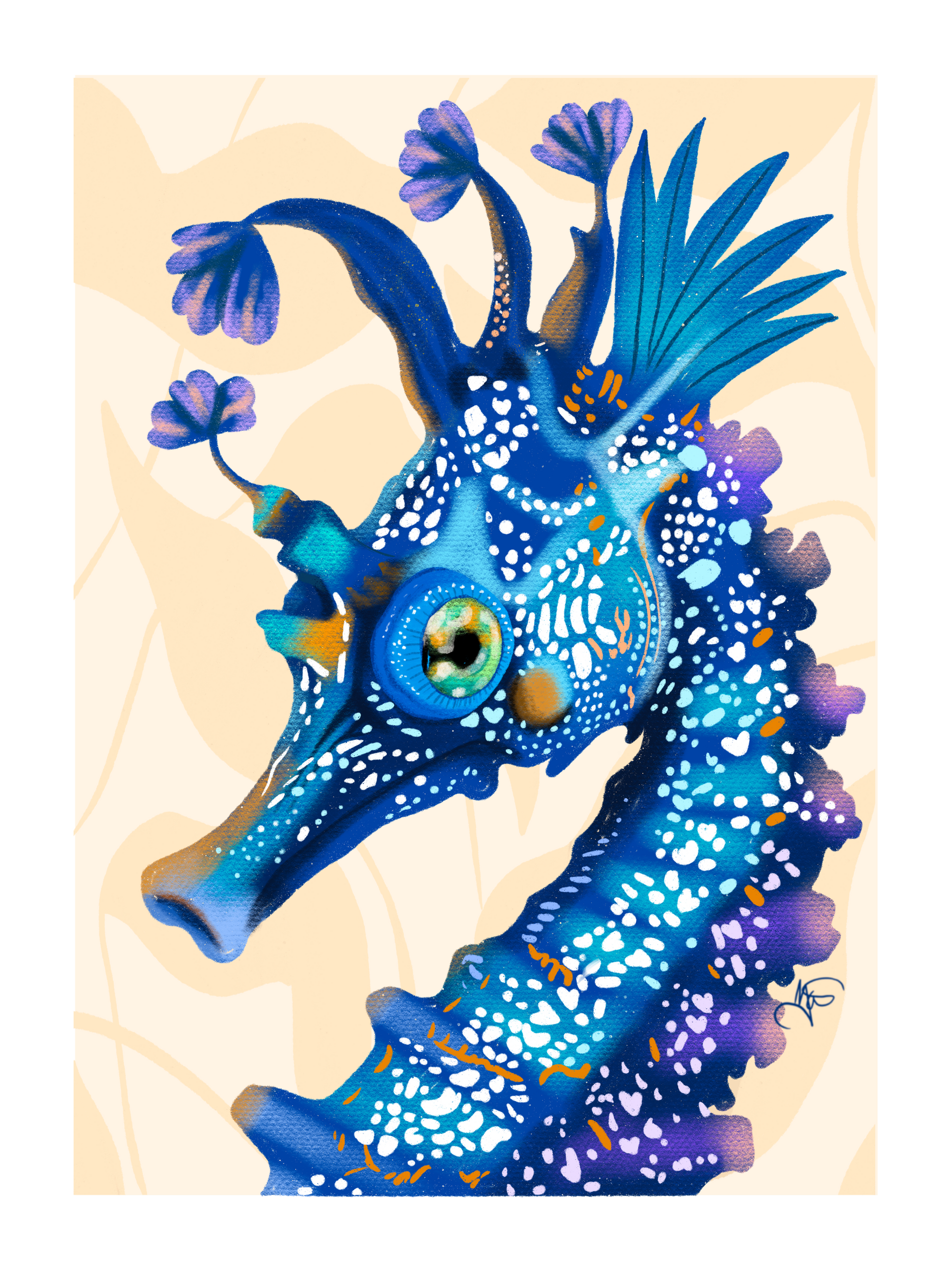 The Galactic Seahorse