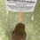 Thumbnail: Hot Chocolate Dunker with Chocolate Orange Segment